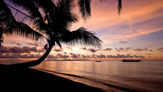 Palmen und Strand bei Abenddämmerung