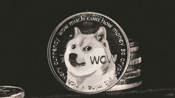 Münze mit abgebildetem Siberian Husky