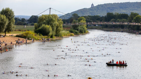 Weserschwimmen